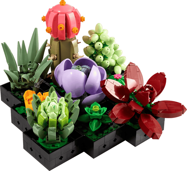 LEGO Succulents (10309)