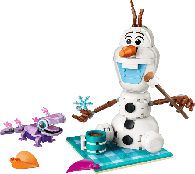 LEGO Le pique-nique d’Olaf et Bruni (43287)